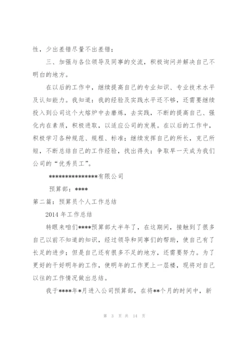 预算员个人工作总结.docx