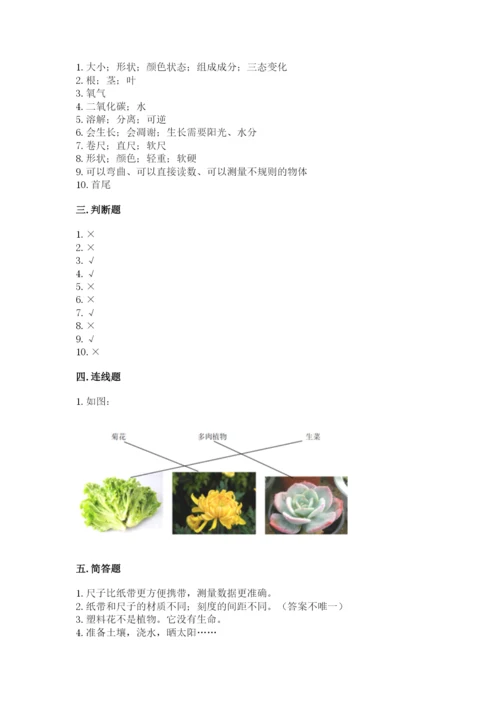 教科版一年级上册科学期末测试卷（中心小学）.docx