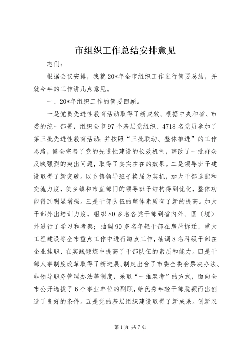 市组织工作总结安排意见.docx