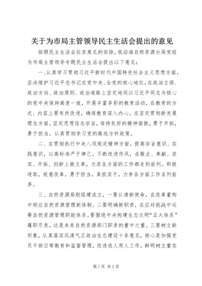 关于为市局主管领导民主生活会提出的意见.docx