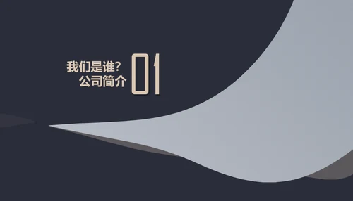 黑金创业融资商业计划书通用PPT母版