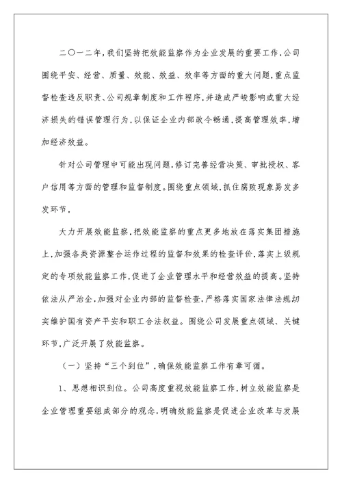 公司效能监察工作总结