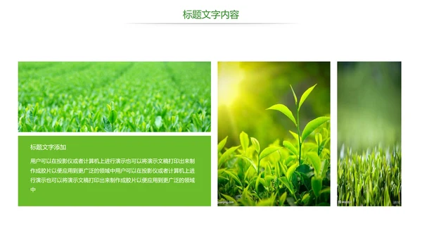 唯美绿色茶园文化茶艺品茶论道PPT模板