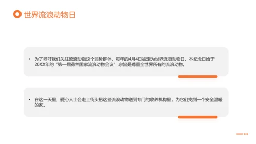 关爱流浪动物，流浪猫PPT模版