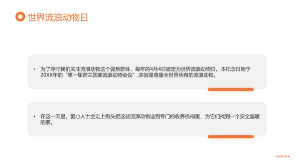 关爱流浪动物，流浪猫PPT模版