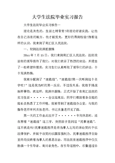 大学生法院毕业实习报告