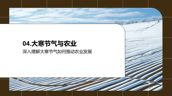 大寒节气农业创新