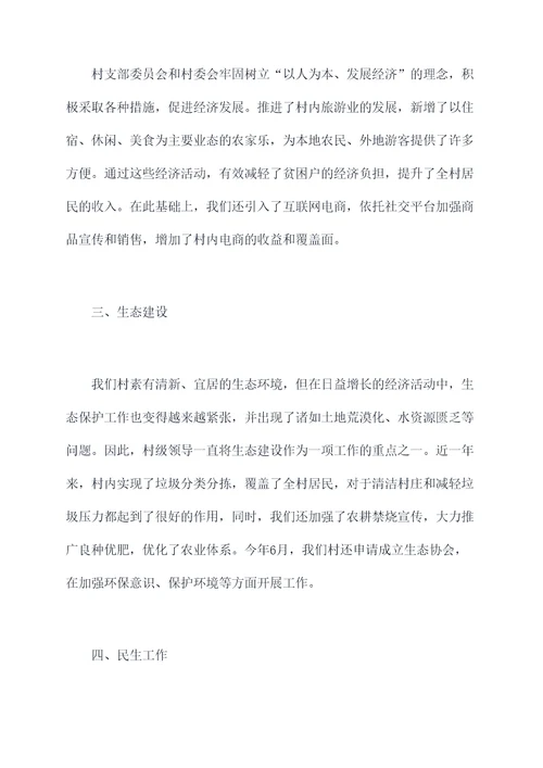 村副支书记述职报告