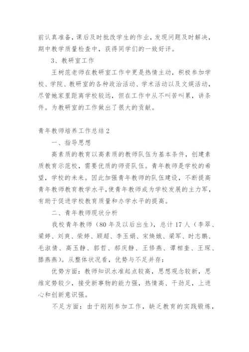 青年教师培养工作总结.docx