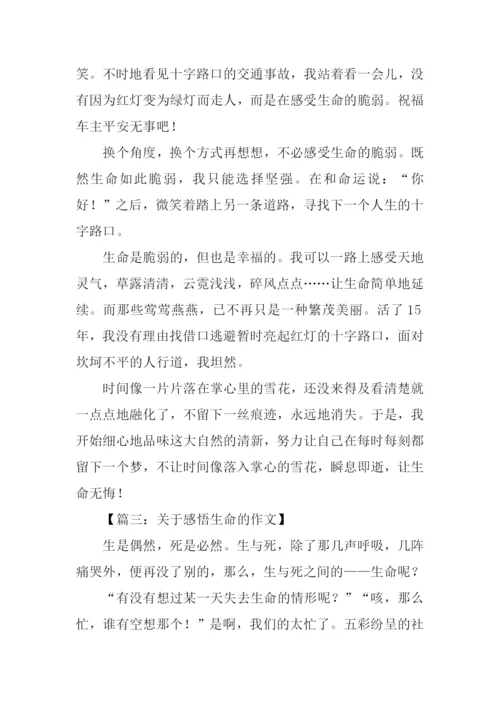 有关感悟生命的作文.docx