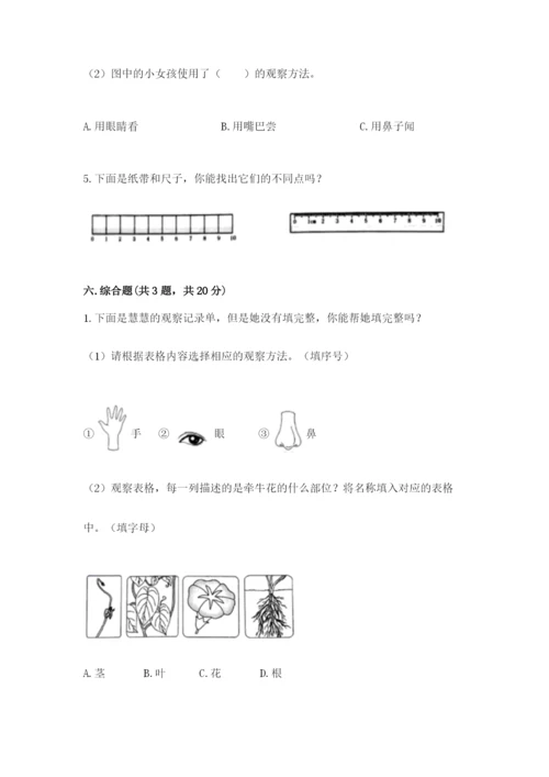 教科版一年级上册科学期末测试卷精品（全国通用）.docx