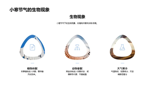 小寒养生饮食指南