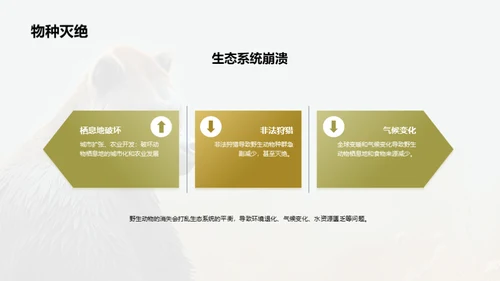 简约风其他行业教学课件PPT模板