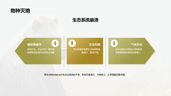 简约风其他行业教学课件PPT模板