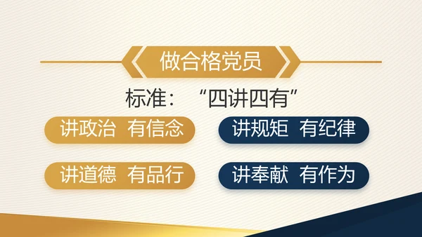 高端大气党建党支部工作总结PPT党课