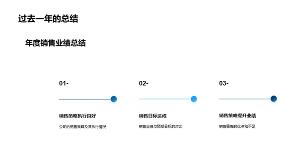 销售策略全年总评