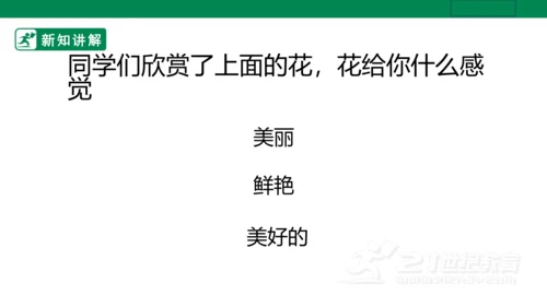 第十六课《生活与艺术中的花》课件（26页PPT）