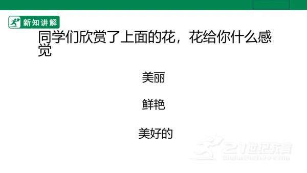 第十六课《生活与艺术中的花》课件（26页PPT）
