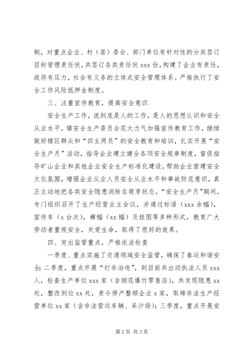 乡镇安全生产监督管理某年工作总结.docx