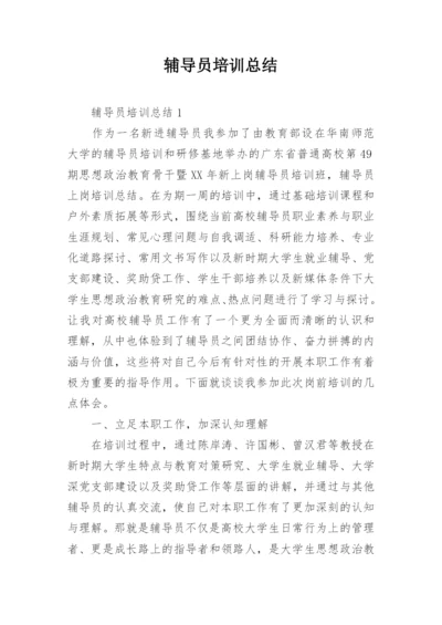 辅导员培训总结.docx