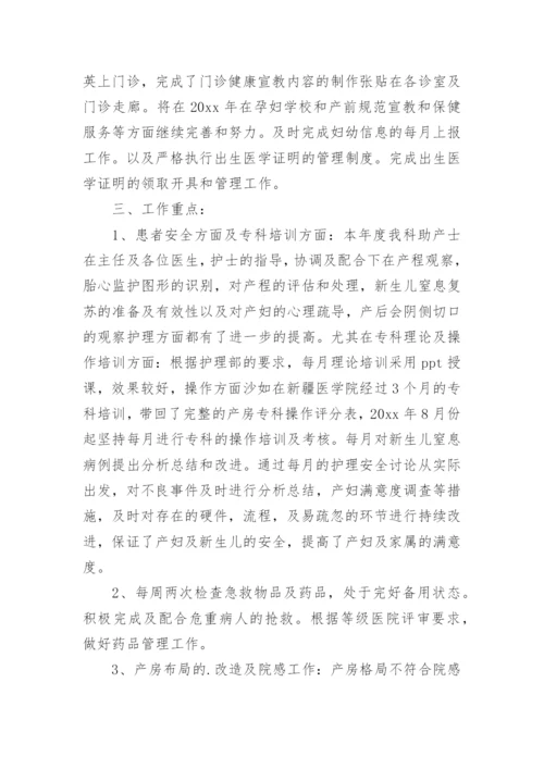 助产士个人年终总结范文.docx