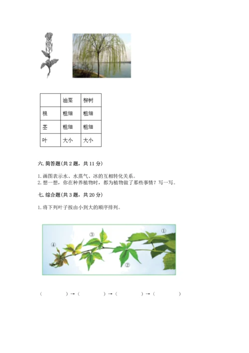 教科版科学一年级上册第一单元《植物》测试卷含完整答案（网校专用）.docx