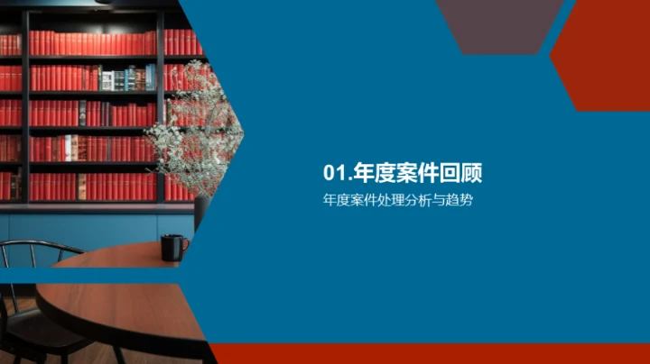 律师年度工作综述