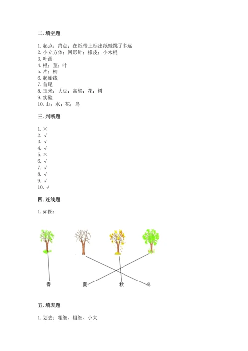教科版一年级上册科学期末测试卷带答案（夺分金卷）.docx