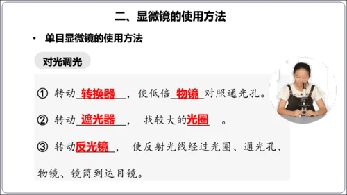 1.1&1.2 认识生物和细胞（复习课件）【2024人教新版七上生物高效完全备课】(共44张PPT)
