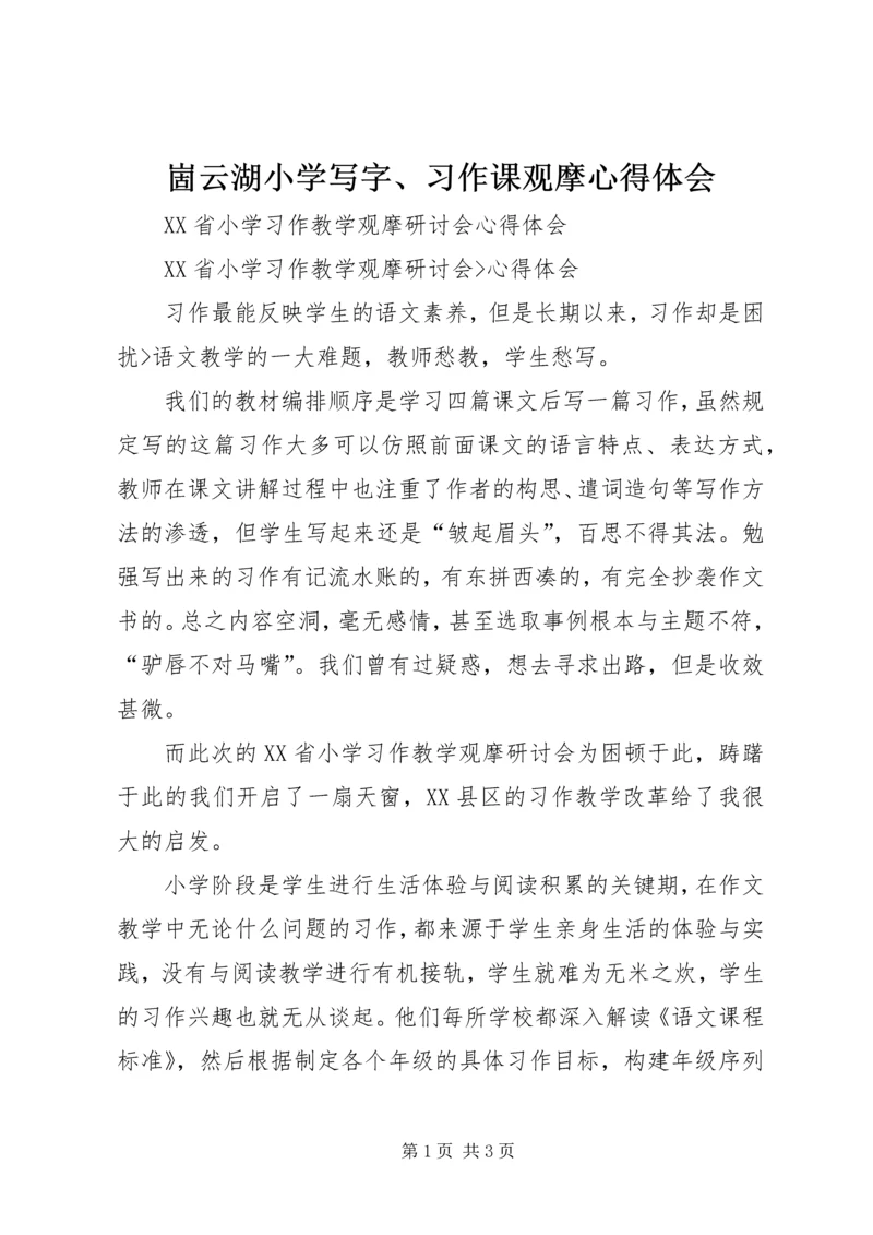 崮云湖小学写字、习作课观摩心得体会.docx