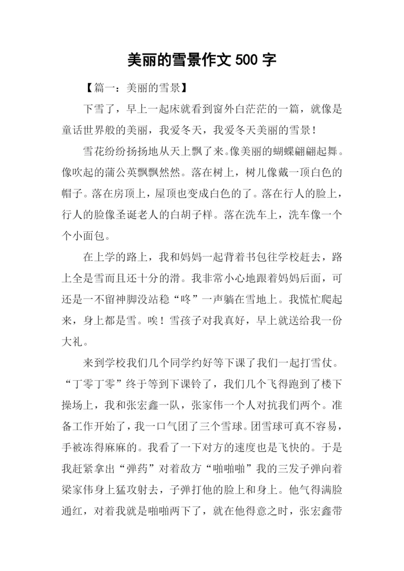 美丽的雪景作文500字.docx