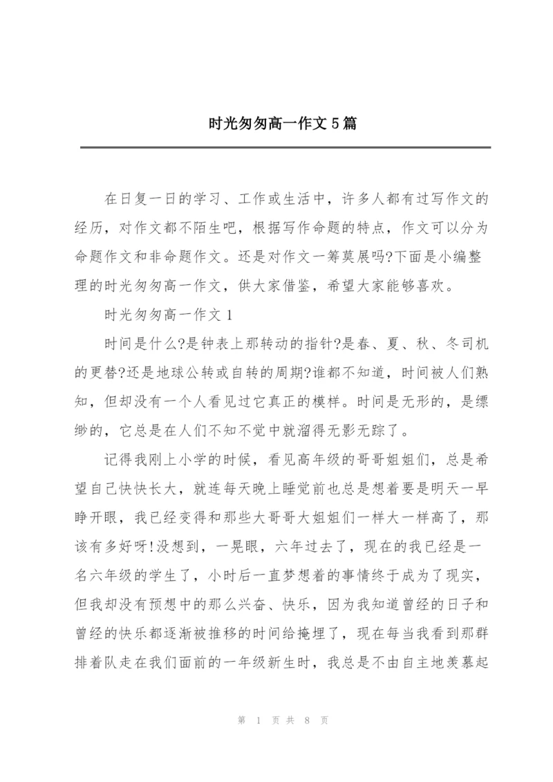 时光匆匆高一作文5篇.docx