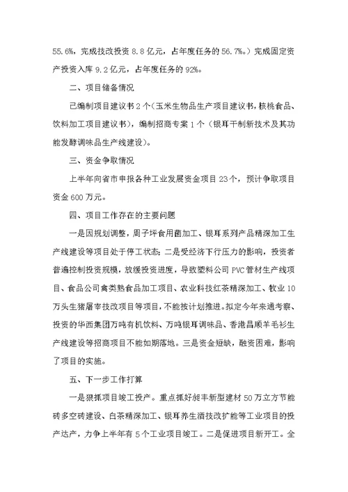 重点项目交账会领导讲话稿