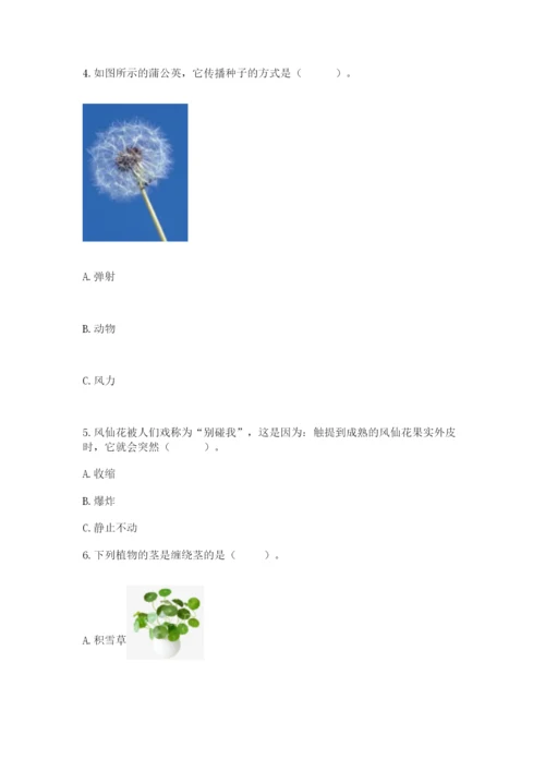 科学四年级下册第一单元植物的生长变化测试卷附参考答案【满分必刷】.docx