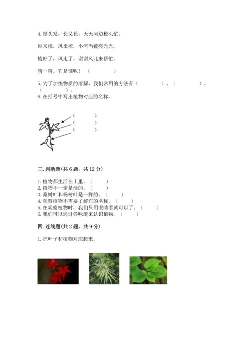 教科版科学一年级上册第一单元《植物》测试卷【全优】.docx