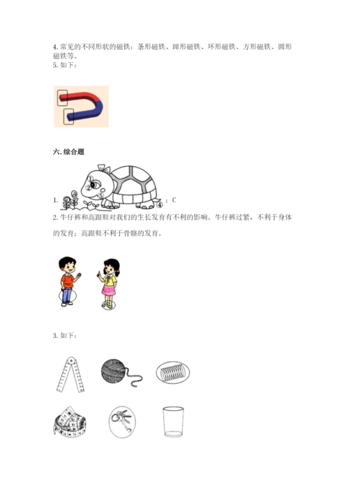 教科版小学科学二年级下册期末测试卷（完整版）.docx