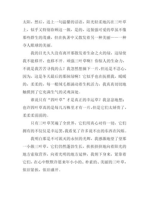 不经意的美丽作文-1.docx
