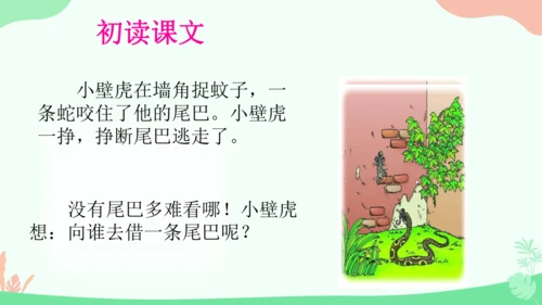 20 小壁虎借尾巴 课件
