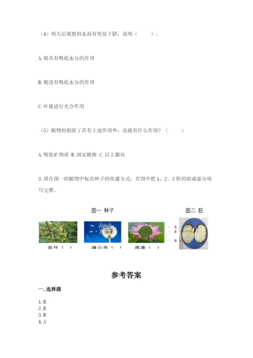 科学四年级下册第一单元植物的生长变化测试卷精华版.docx