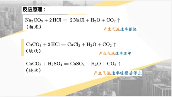 6.2 二氧化碳制取的研究课件(共31张PPT)---2023-2024学年九年级化学人教版上册