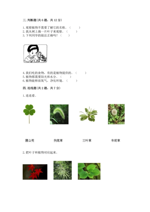 教科版科学一年级上册第一单元《植物》测试卷（精练）.docx