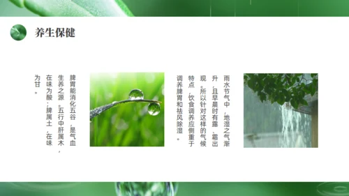 雨水绿色露水背景通用PPT模板