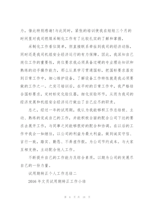 转正个人工作总结.docx