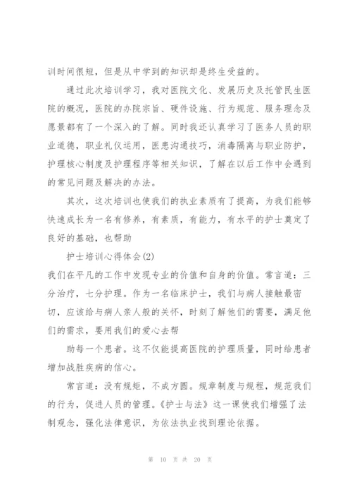 护士实习生岗前培训心得体会范本十篇.docx