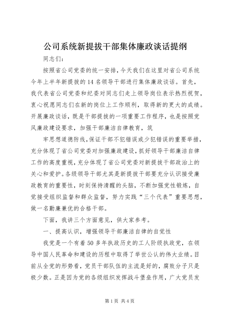 公司系统新提拔干部集体廉政谈话提纲 (5).docx