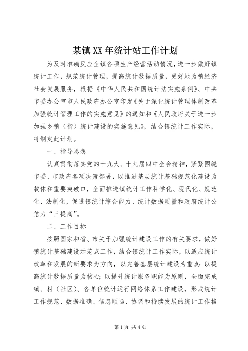 某镇XX年统计站工作计划.docx