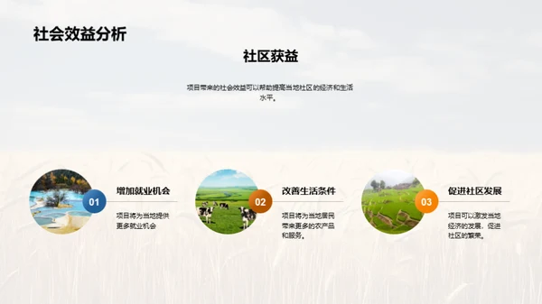 农业项目投资策略