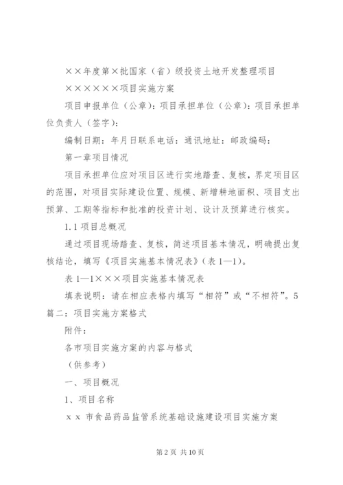 建设项目实施方案格式.docx