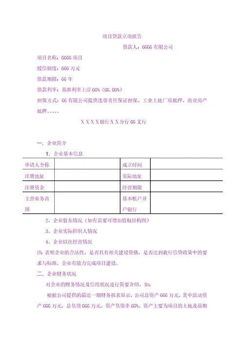 总结报告银行项目贷款立项报告