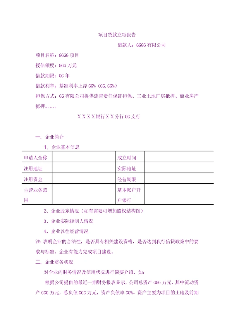 总结报告银行项目贷款立项报告